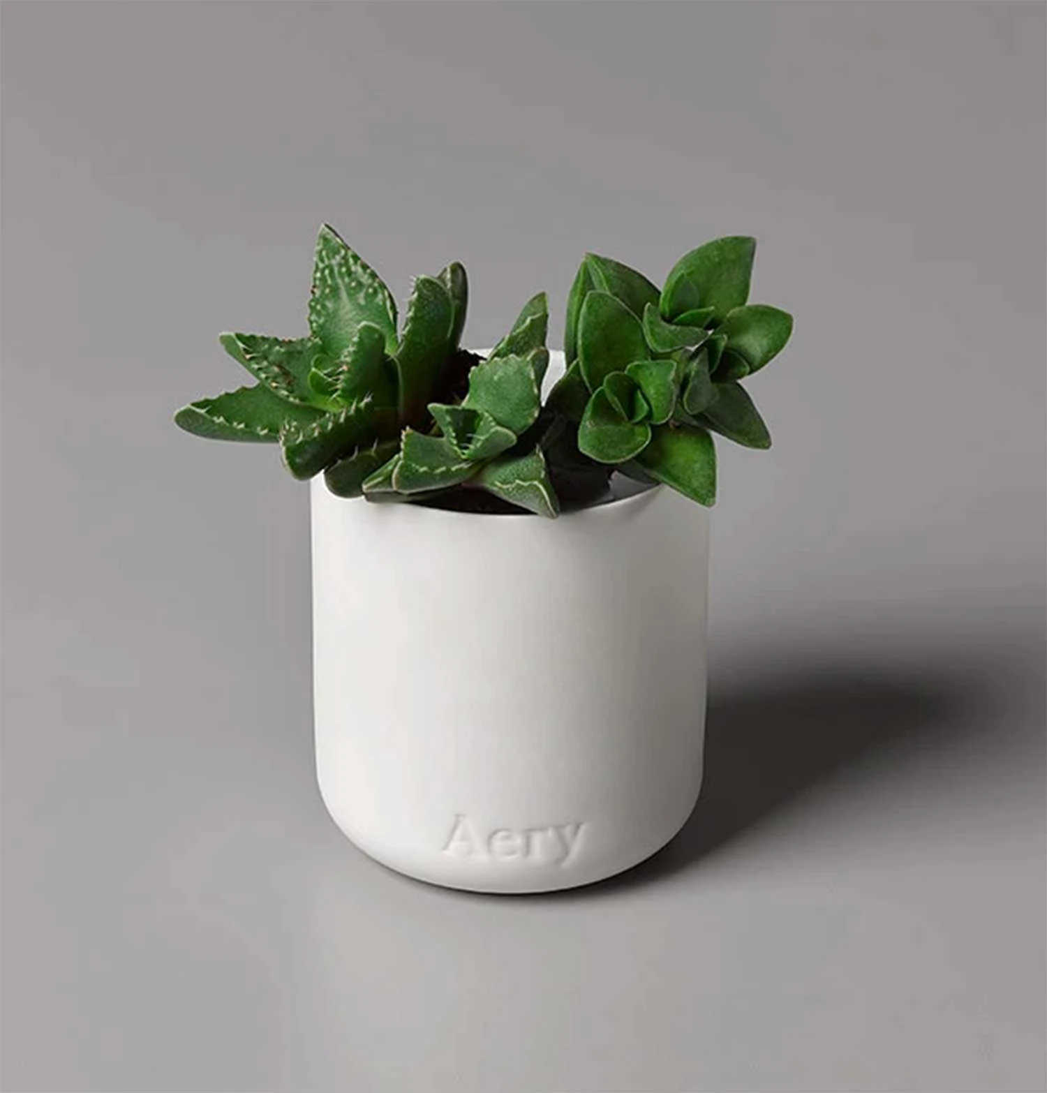 Aery Nordic Cedar Scented Candle - Image 3