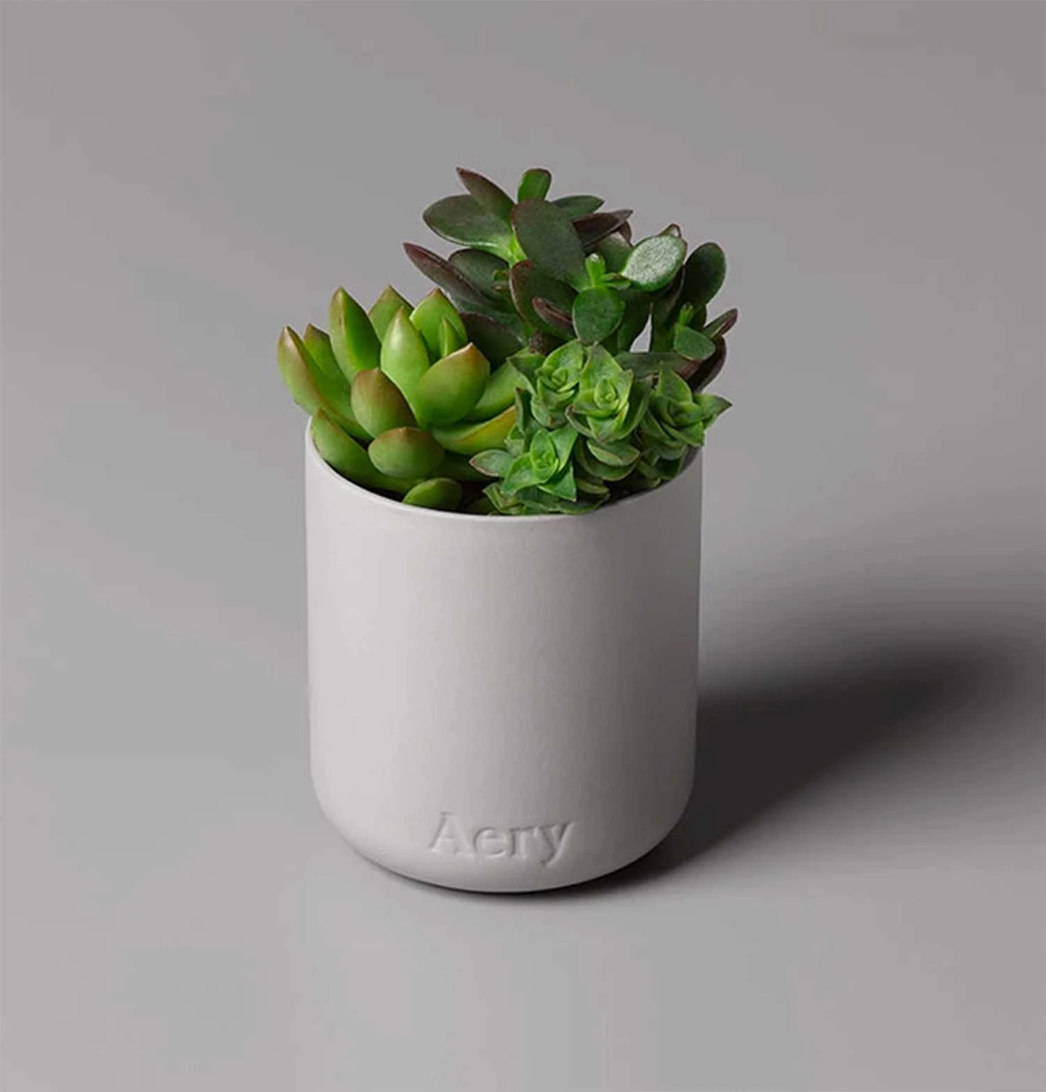 Aery Persian Thyme Scented Candle - Image 3